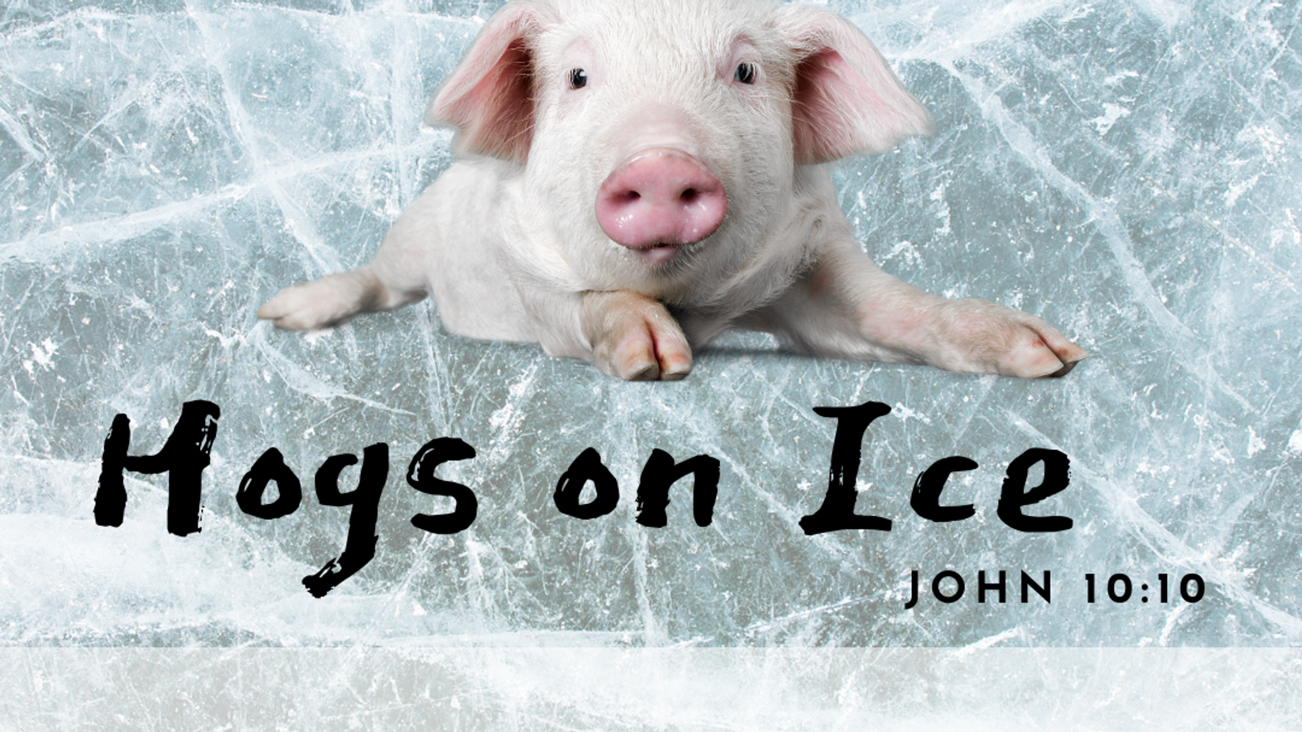 Hogs on Ice September 4, 2022